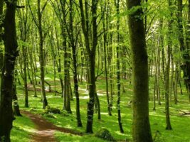 20190506-143441-largejpg