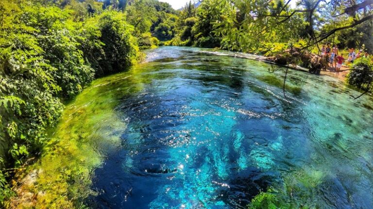 Syri-i-kalter-Occhio-Blu